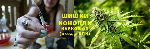 мяу мяу мука Михайлов