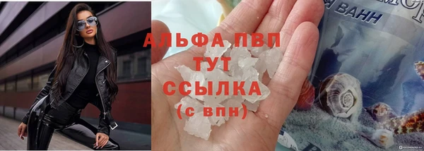 мяу мяу мука Михайлов