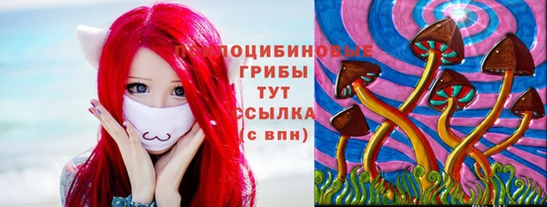 гидропоника Наволоки