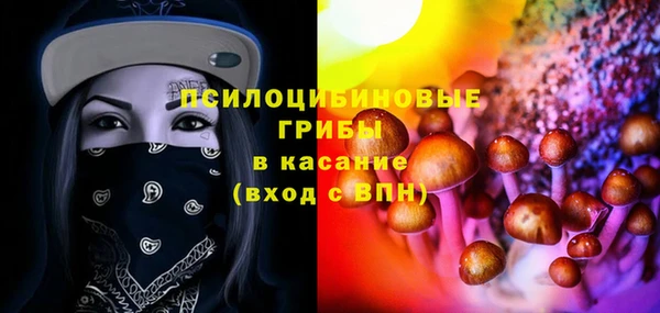мяу мяу мука Михайлов