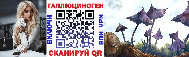 Псилоцибиновые грибы Psilocybe  Купить закладки  Константиновск 